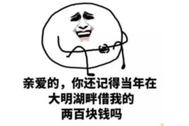 措美清數(shù)公司哪里找？——全方位解析如何找到專業(yè)數(shù)據(jù)清洗服務(wù)