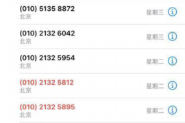 巴林左旗清數公司排名前十名：揭秘區(qū)域大數據處理領域的佼佼者