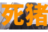 道孚要債公司哪里找？專業(yè)機(jī)構(gòu)助您高效追回欠款